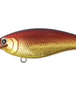 Bottom Up Reazzy Shallow Diving (0-7ft.)