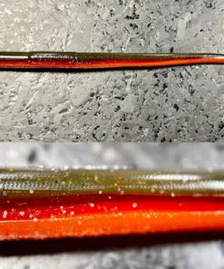 Roboworm Straight Tail Worm 6 Inch Dropshot Baits