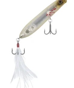 Evergreen USA SB 77.7 Walking