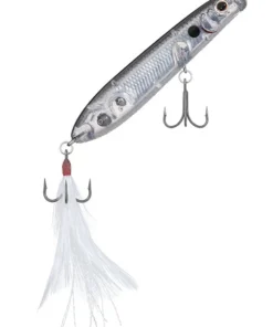 Evergreen USA SB 77.7 Walking