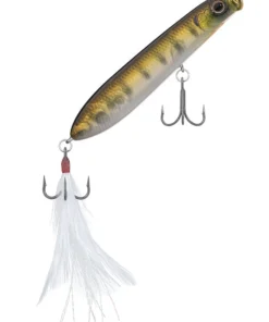 Evergreen USA SB 77.7 Walking