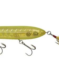 Evergreen International Shower Blows Walking