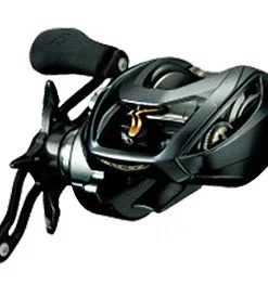 Daiwa Steez A TW Baitcasting Reel