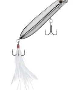 Evergreen USA SB 77.7 Walking