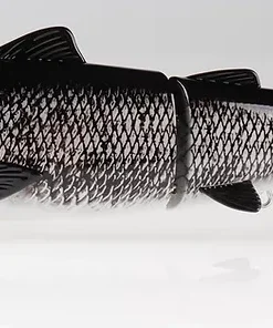 Baitsanity Explorer Gen 2 Glide Hard Body