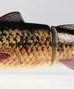 Baitsanity Explorer Gen 2 Glide Hard Body