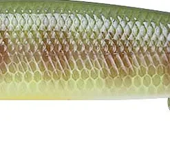 Lucky Craft Lightning Pointer 110SP Jerkbaits 15 Lucky Craft Lightning Pointer 110SP Jerkbaits
