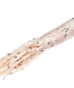 Strike King KVD Pro Model Coffee Tube 36 Strike King KVD Pro Model Coffee Tube