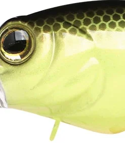 Teckel Medium Diving (8-14ft.) Drunker