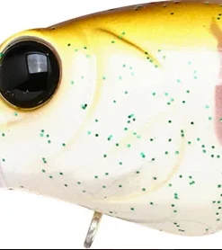 Teckel Medium Diving (8-14ft.) Drunker