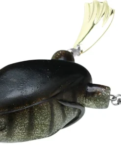 Teckel Frogs Honker Frog