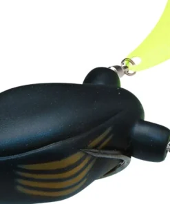 Teckel Frogs Honker Frog