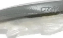 3:16 Lure Company Shad