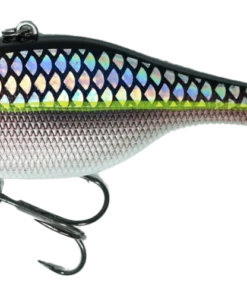 Ima Suspending Vibe 70 Lipless