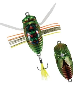 Duo Realis Walking Shinmushi 11 Duo Realis Walking Shinmushi