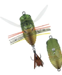 Duo Realis Walking Shinmushi 10 Duo Realis Walking Shinmushi