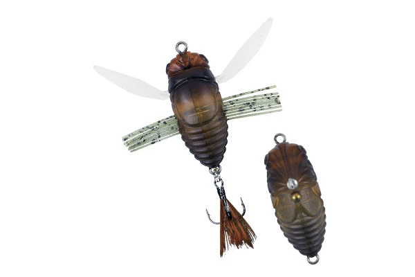 Duo Realis Walking Shinmushi 7 Duo Realis Walking Shinmushi