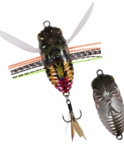Duo Realis Walking Shinmushi 13 Duo Realis Walking Shinmushi