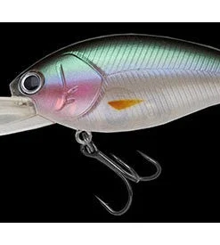 Nories Shot Over 4 Medium Diving (8-14ft.)