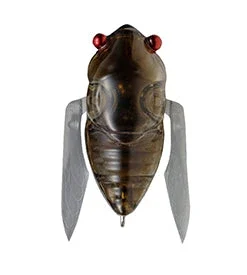 Megabass Siglett 15 Megabass Siglett