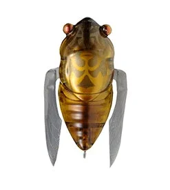 Megabass Siglett 16 Megabass Siglett