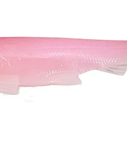 3:16 Lure Company 5 Inch Rising Son