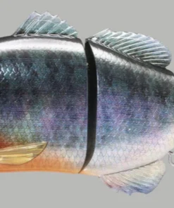 Jackall Hard Body Gantarel 21 Jackall Hard Body Gantarel