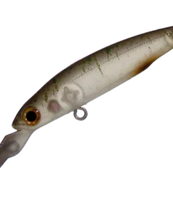 Smith LTD. Still Area Tuned