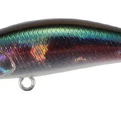 Duo Realis Tetra Works Toto 42S