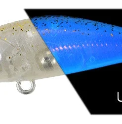 Duo Realis Tetra Works Toto 42S