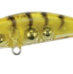 Duo Realis Tetra Works Toto 42S