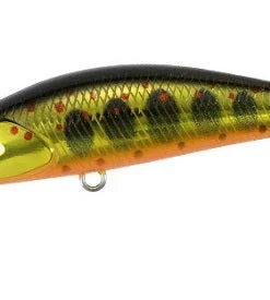 Duo Realis Jerkbaits Spearhead Ryuki 50S Takumi