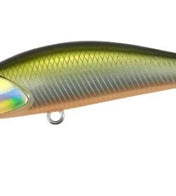 Duo Realis Jerkbaits Spearhead Ryuki 50S Takumi