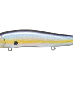 Megabass Ito Vision 110