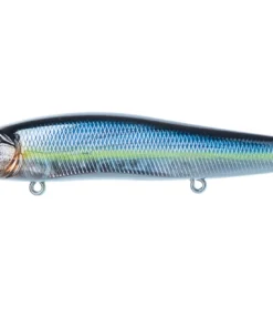 Megabass Ito Vision 110