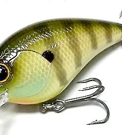 Mibro Warloq Shallow Diving (0-7ft.)