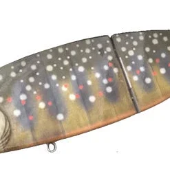 Wild Lures Wild Beat Hard Body