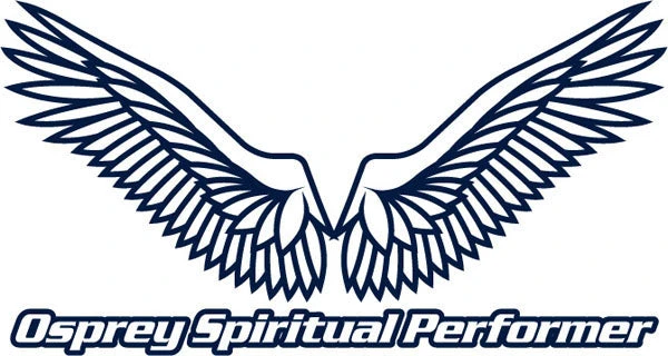 OSP Wing Sticker 3 OSP Wing Sticker