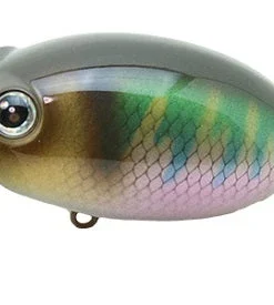 ZactCraft Zaguna Walking