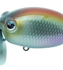 ZactCraft Zaguna Walking