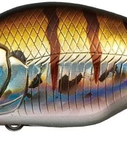 Evergreen International Shallow Diving (0-7ft.) Zeruch