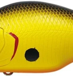 Evergreen International Shallow Diving (0-7ft.) Zeruch