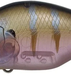 Evergreen International Shallow Diving (0-7ft.) Zeruch