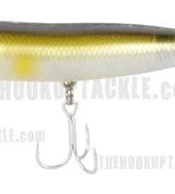 Owner Cultiva Walking Zip'N Ziggy