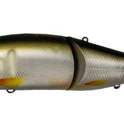 Imakatsu SG Ayu Roid Hard Body