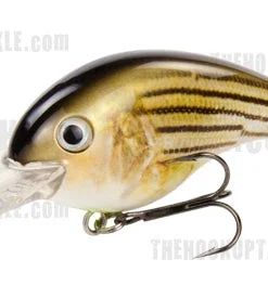 Strike King Pro Model 8XD Crankbaits