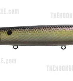 Ima Little Stick Walking