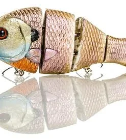 Triton Mike Bucca Hard Body Bull Gill