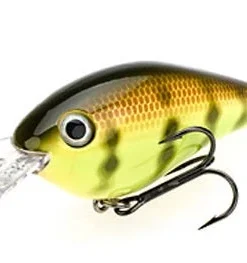 Strike King Pro Model 8XD Crankbaits