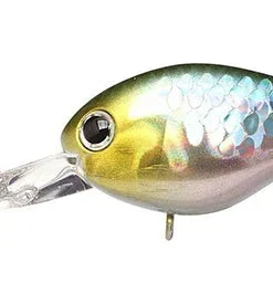 Lucky Craft Shallow Diving (0-7ft.) Clutch Series